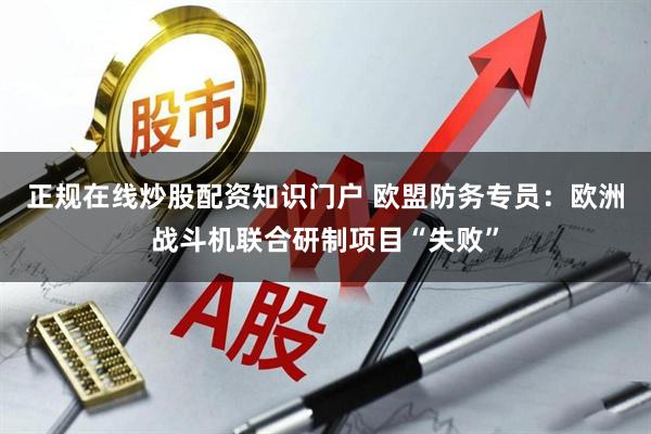 正规在线炒股配资知识门户 欧盟防务专员：欧洲战斗机联合研制项目“失败”